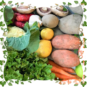 Organic Just Vege Bounty Box $40